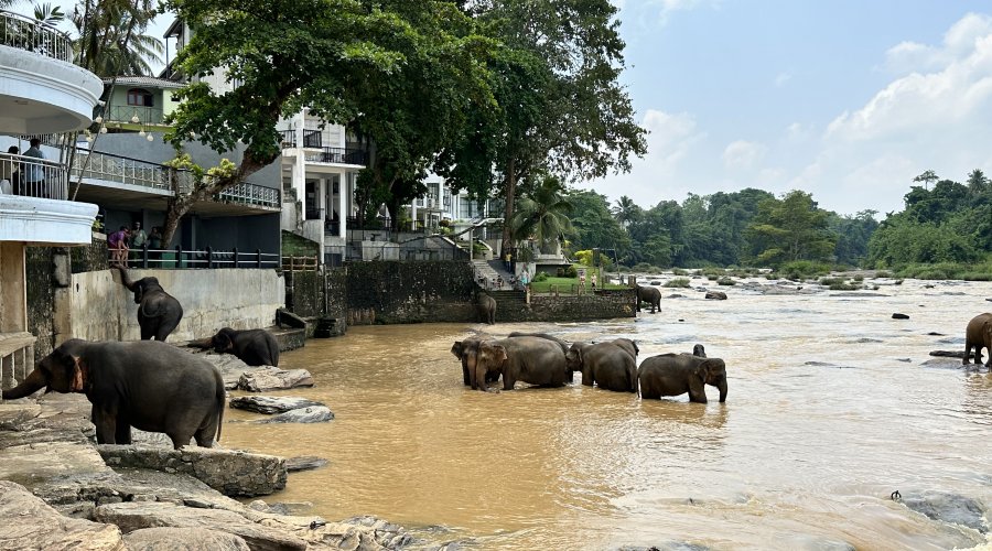 -102099750324_89103390582_1699350120_n