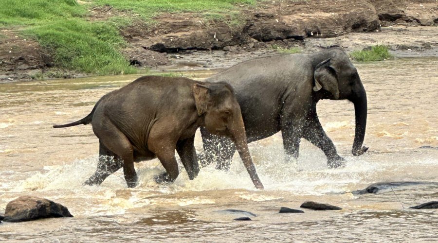 -126107144038_65095996868_1699349999_n