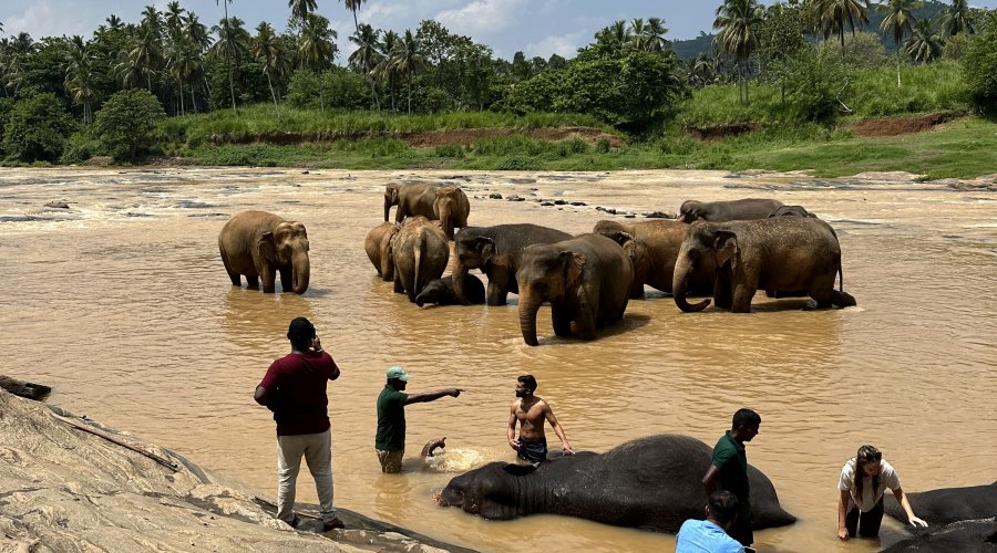 -169367874150_21835266756_1699349958_n