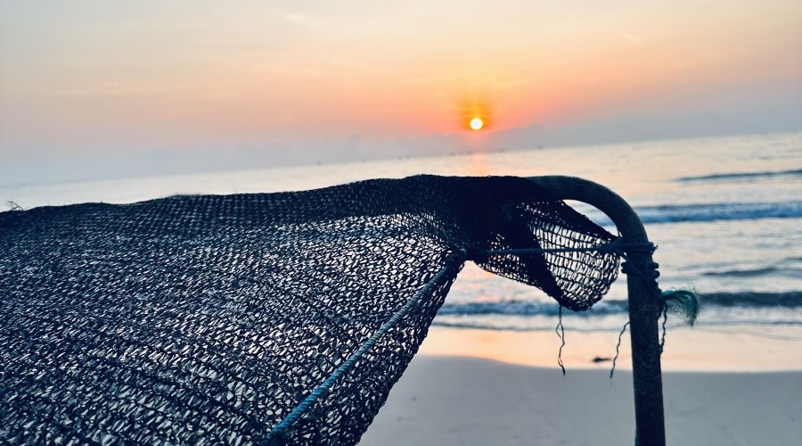 -21720871004_169482269902_1699349725_n