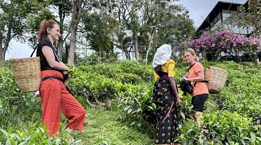 -24437773431_166765367475_1699350475_n