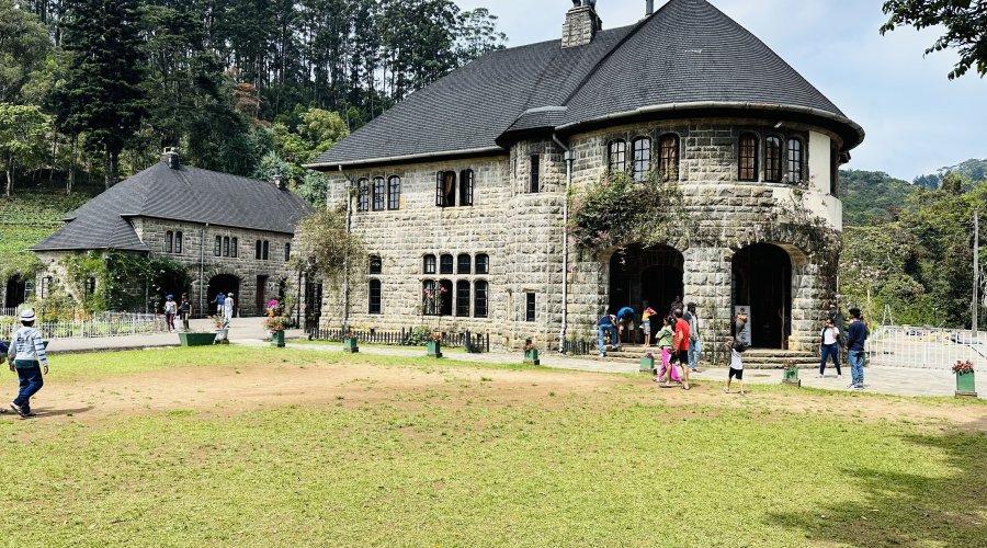 -28350776583_162852364323_1699349921_n