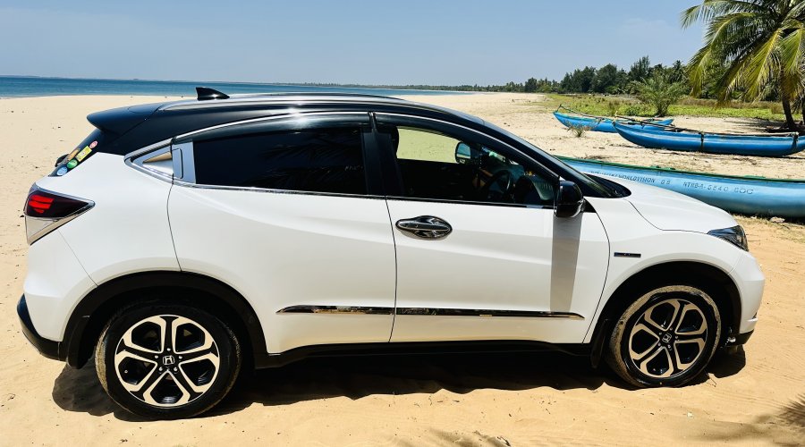 -28644924638_162558216268_1699349231_n