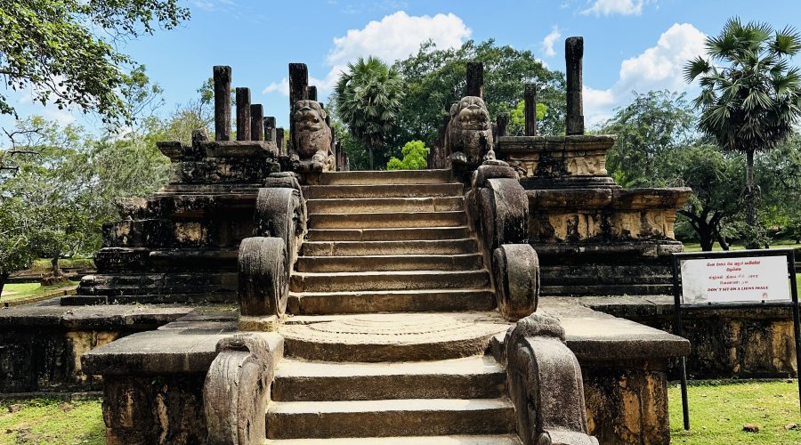 -28996902205_162206238701_1699349608_n