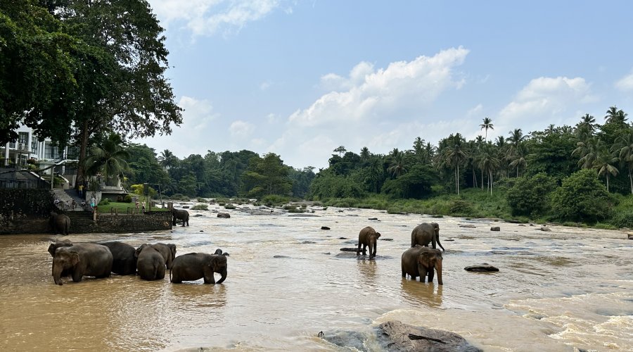 -59647984124_131555156782_1699350043_n